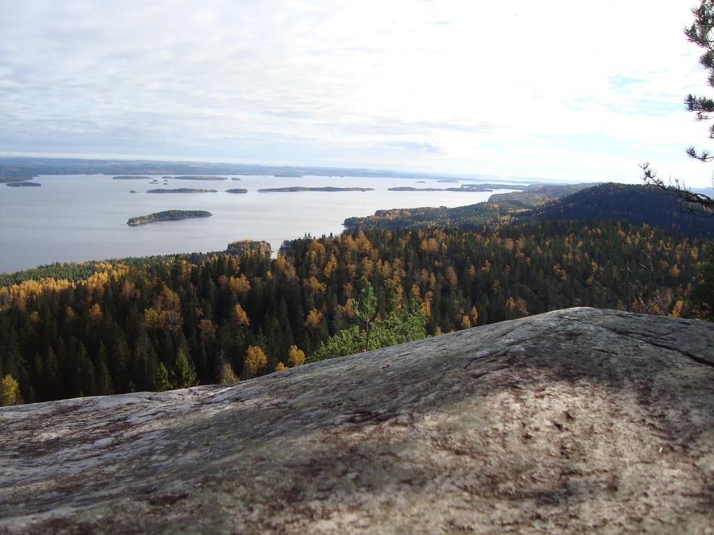 Koli Freetime Cottages Ахмоваара Номер фото