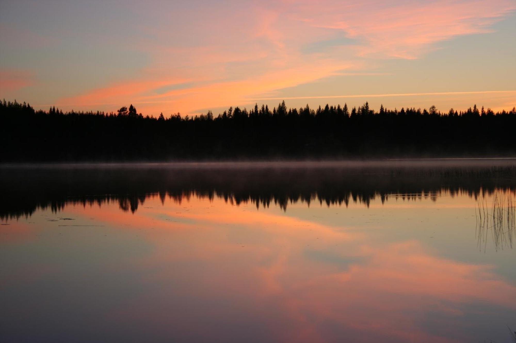 Koli Freetime Cottages Ахмоваара Номер фото