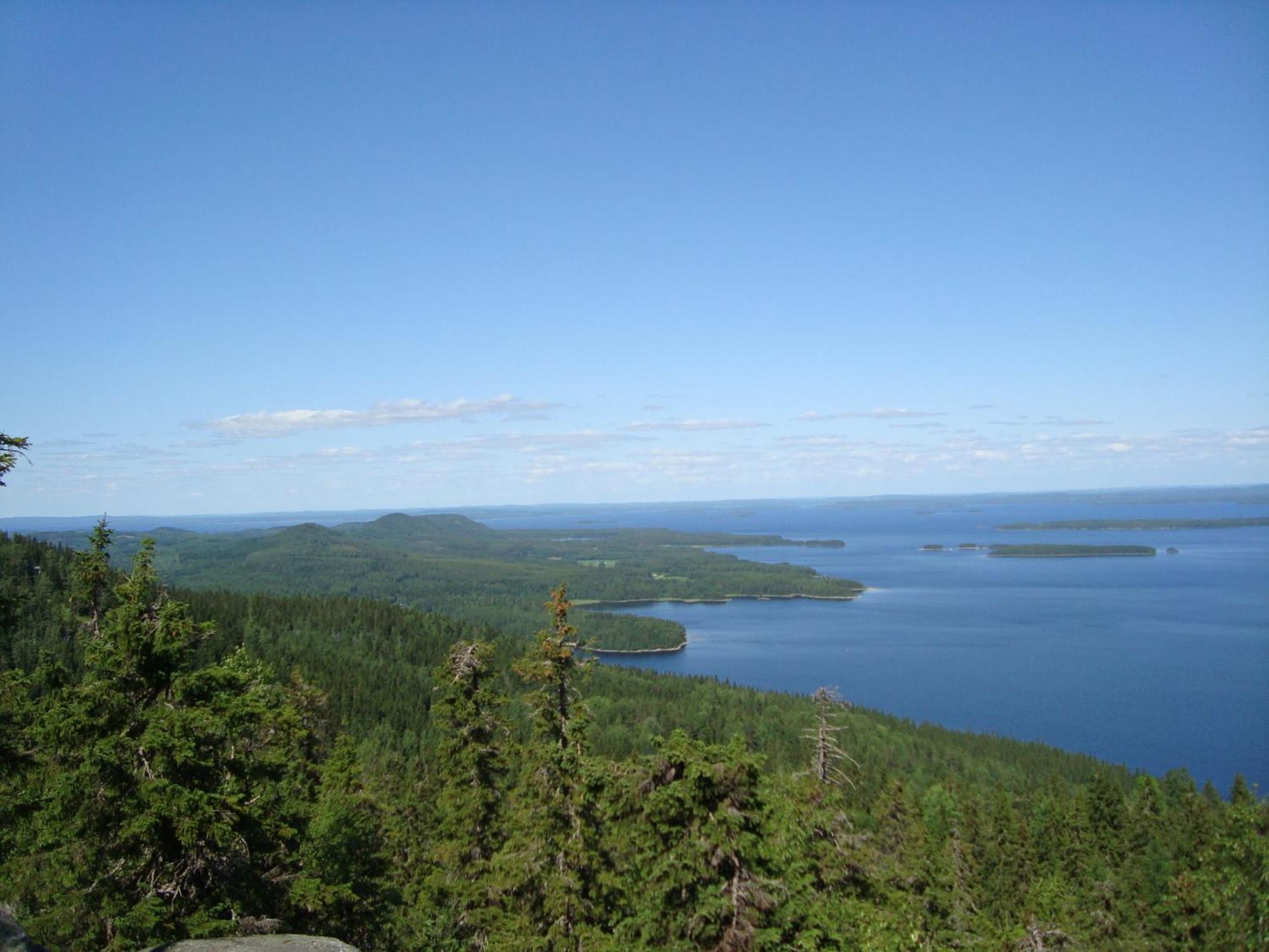 Koli Freetime Cottages Ахмоваара Номер фото